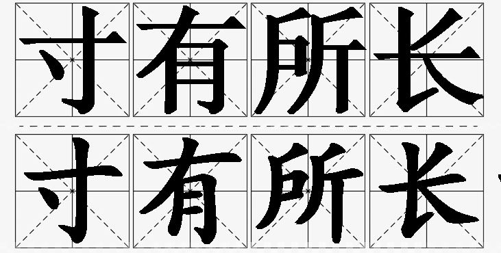寸有所长的意思解释_造句_近义词_反义词_成语故事 寸有所长的意思解释,寸有所长造句,寸有所长近义词,寸有所长反义词,寸有所长成语故事