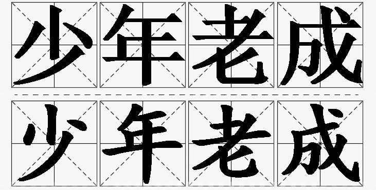 少年老成的意思解释,少年老成造句,少年老成近义词,少年老成反义词,少年老成成语故事