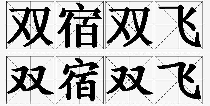 双宿双飞的意思解释_造句_近义词_反义词_成语故事 双宿双飞的意思解释,双宿双飞造句,双宿双飞近义词,双宿双飞反义词,双宿双飞成语故事