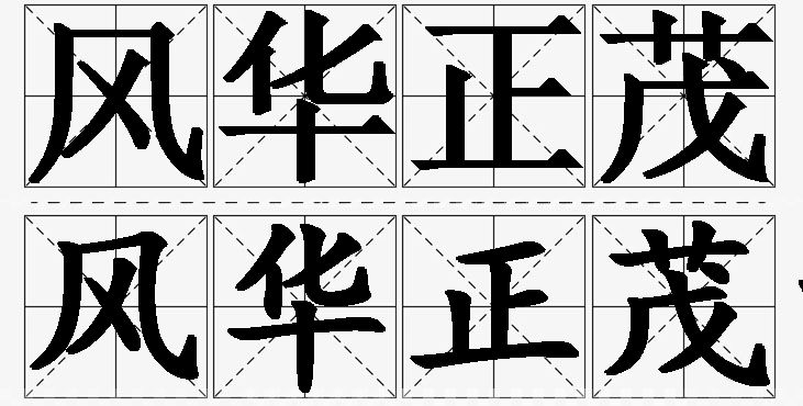 风华正茂的意思解释,风华正茂造句,风华正茂近义词,风华正茂反义词,风华正茂成语故事