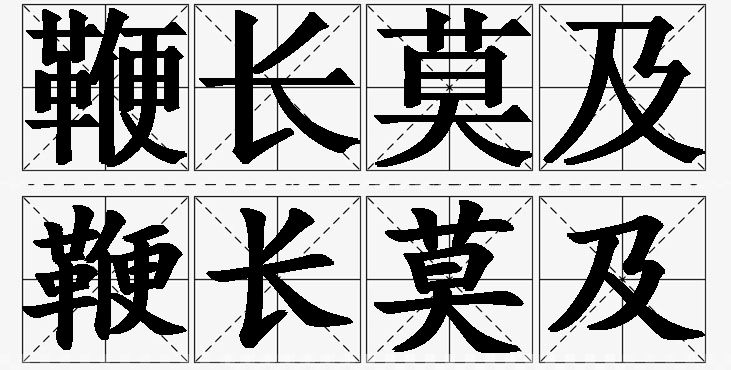 鞭长莫及 /
